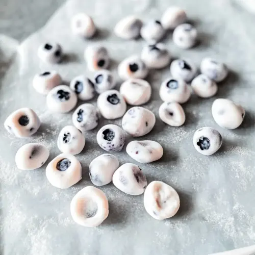 Frozen Yogurt Covered Blueberries